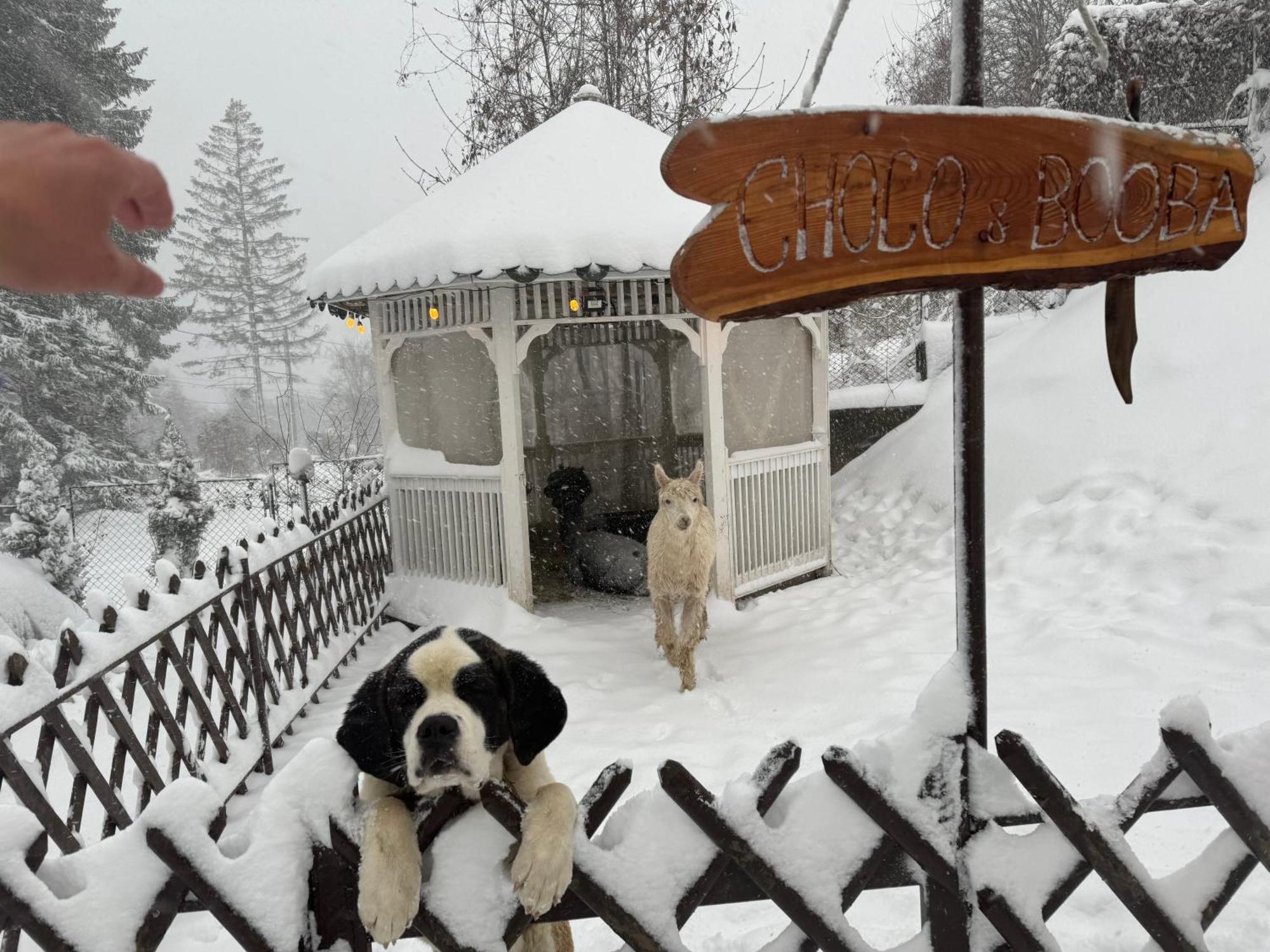 Chalet Jolie Luxury Vila Sinaia Exterior foto